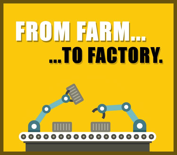 How to Turn Your Farm Into a Factory: Assembly Line, Baby! (an offrs review)
