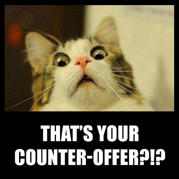Thats your counter-offer?!? - Realestate memes for offrs.com clients and customers