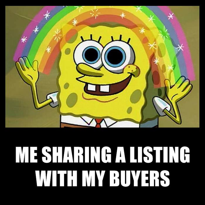 Me sharing a listing with my buyers... (offrs agents are happy with their listings)!